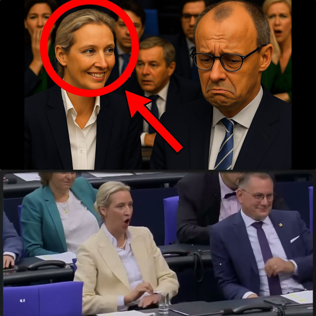 Historischer Showdown im Bundestag: Alice Weidel fordert Neuwahlen im gnadenlosen Machtkampf mit Kanzler Friedrich Merz