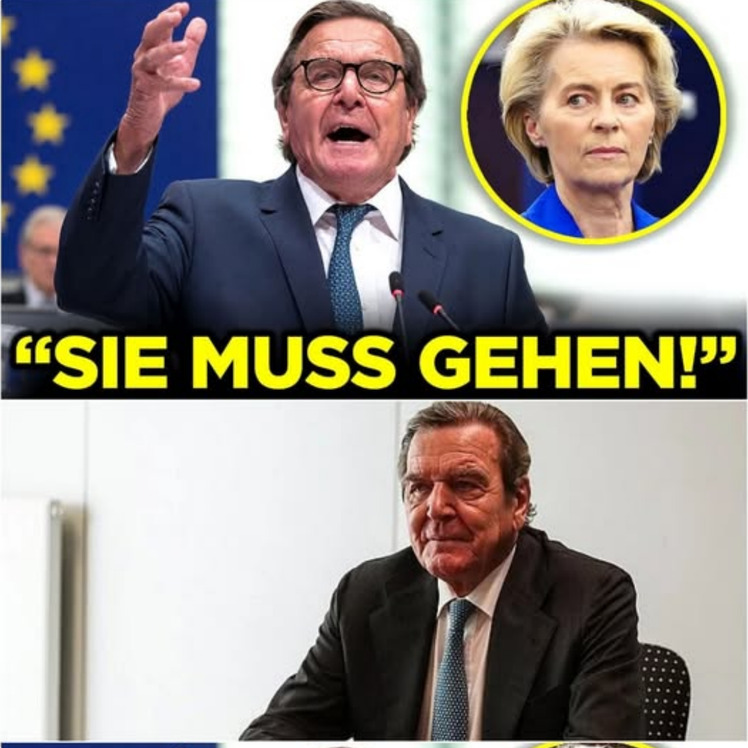 Das Beben von Berlin und Brüssel: Gerhard Schröders beispiellose Abrechnung mit Ursula von der Leyen und dem Ausverkauf deutscher Souveränität