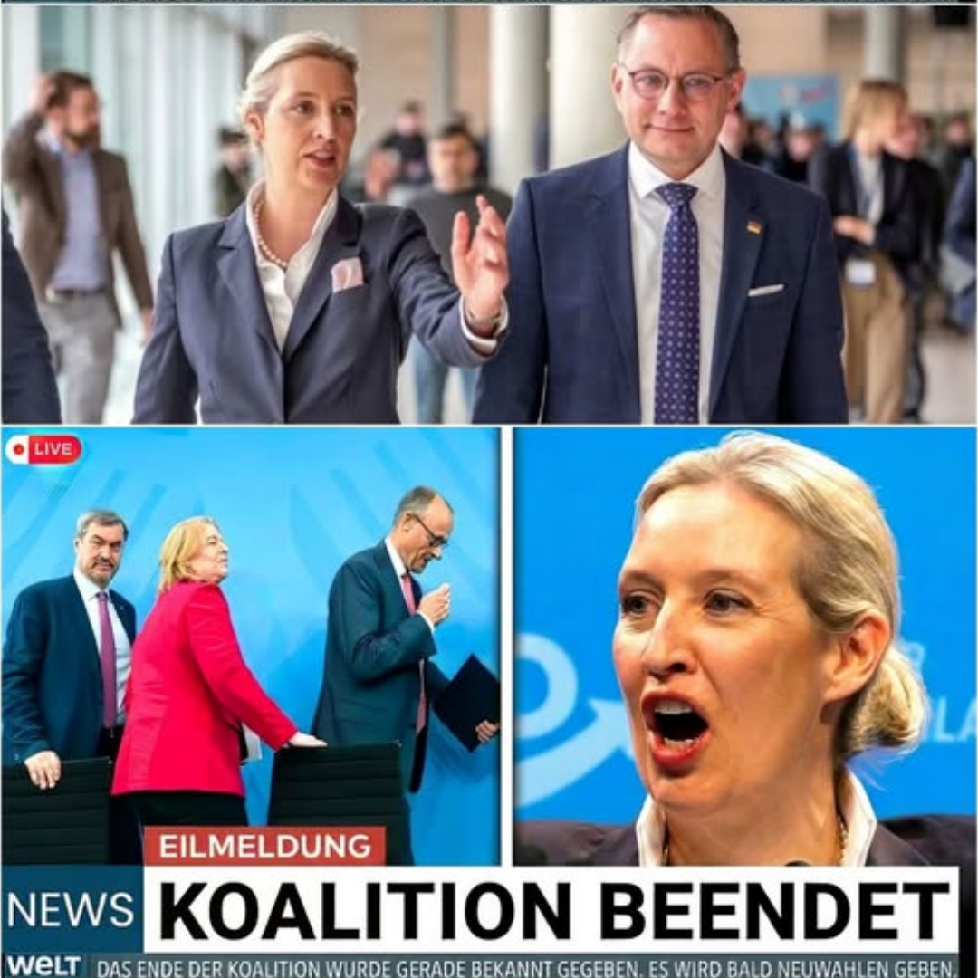 Politisches Beben im Sommerloch: Der geheime Plan für Neuwahlen, bröckelnde Brandmauern und der Kampf um die Macht