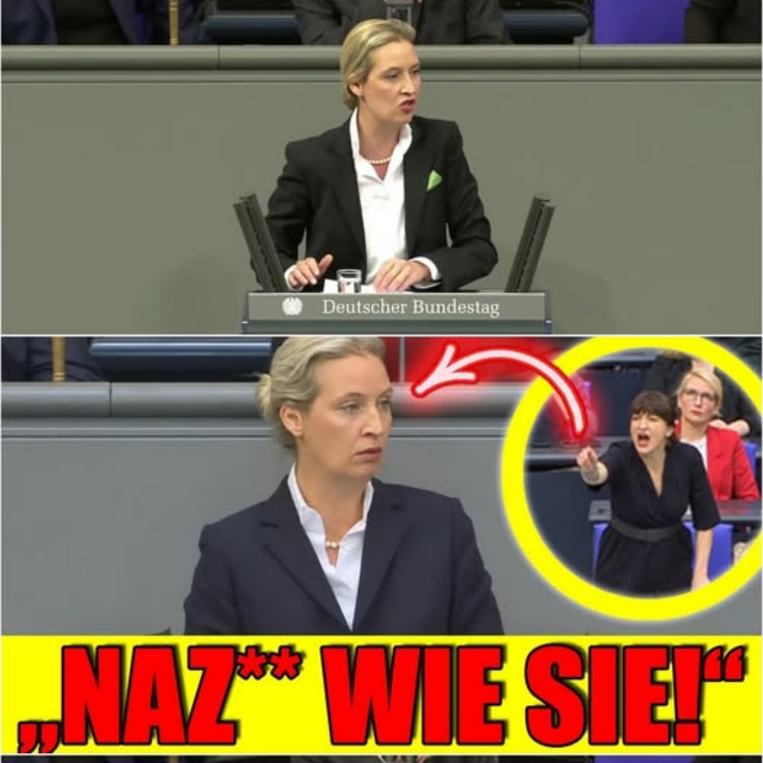 Alice Weidel wird LIVE beleidigt! Präsidentin greift ein!