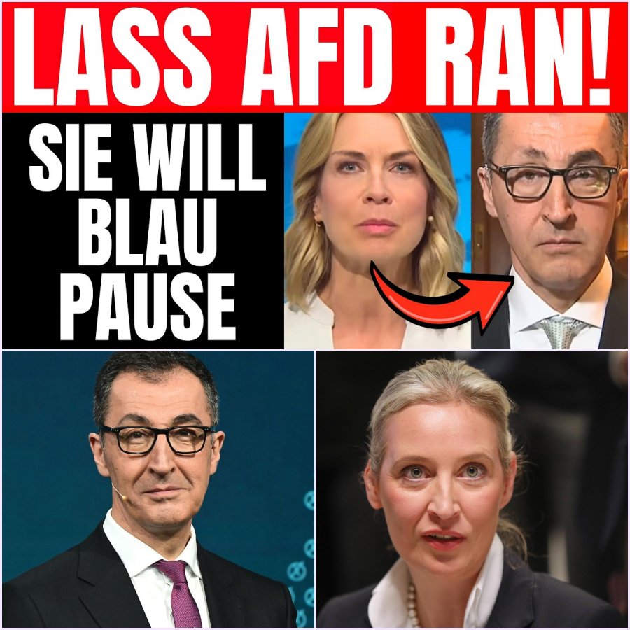 Sensation im TV: Wenn die “Blaupause” zur Abrechnung wird – Özdemir unter Druck und der unaufhaltsame Aufstieg der AfD