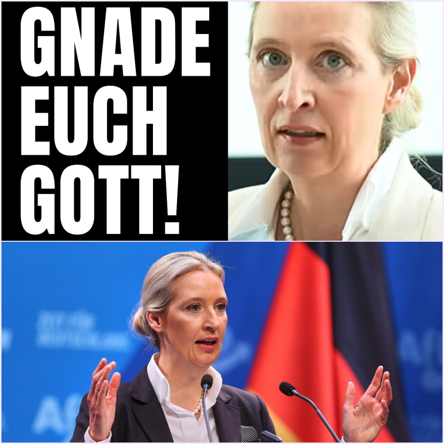 Die große Abrechnung: Alice Weidel warnt vor beispielloser politischer Eskalation und skizziert die Wende für Deutschland