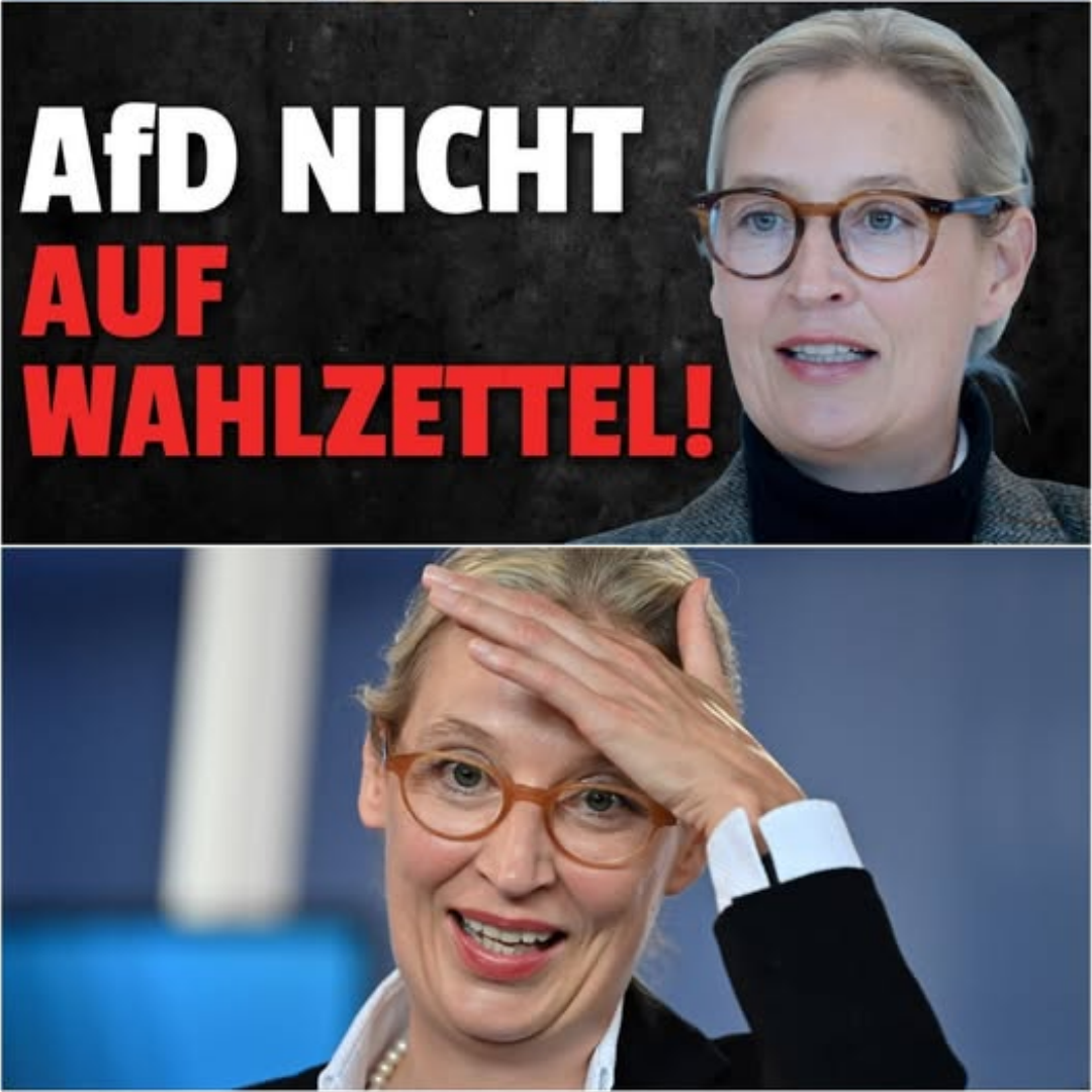 UNFASSBAR! AfD steht NICHT mehr auf Wahlzettel!