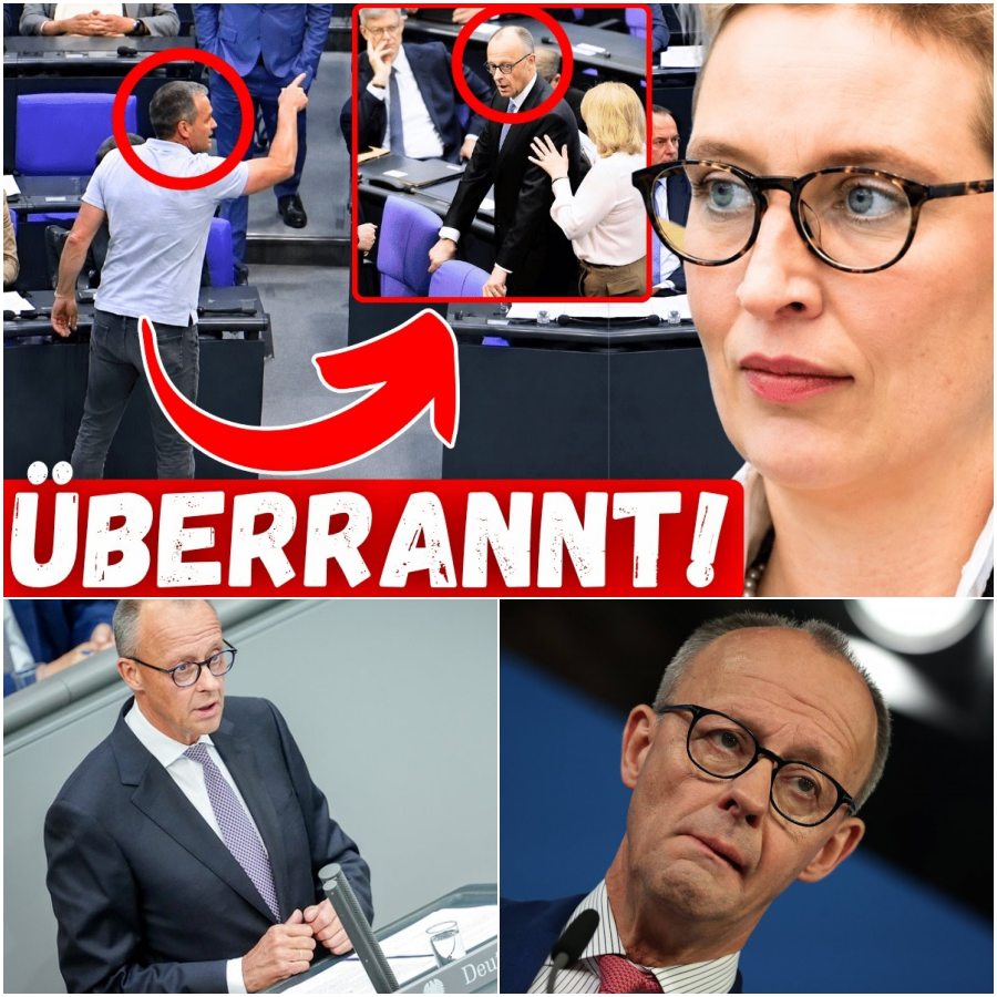 Eklat im Bundestag: Abgeordneter stürmt nach Weidel-Rede auf Friedrich Merz zu!