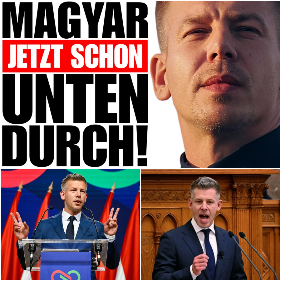Der bröckelnde Glanz des Péter Magyar: Zwischen Social-Media-Hype, Luxus-Kritik und fehlenden Taten in Ungarn