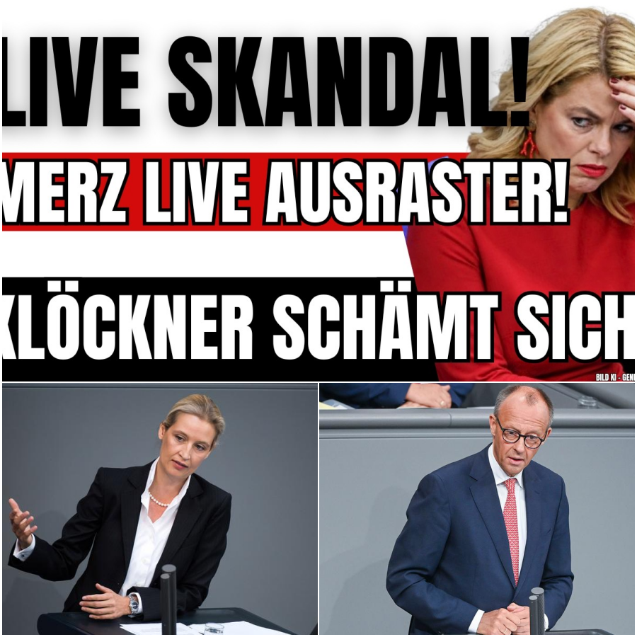 Eskalation im Parlament: Wenn harte Fakten auf fehlende Argumente treffen und die politische Fassade bröckelt