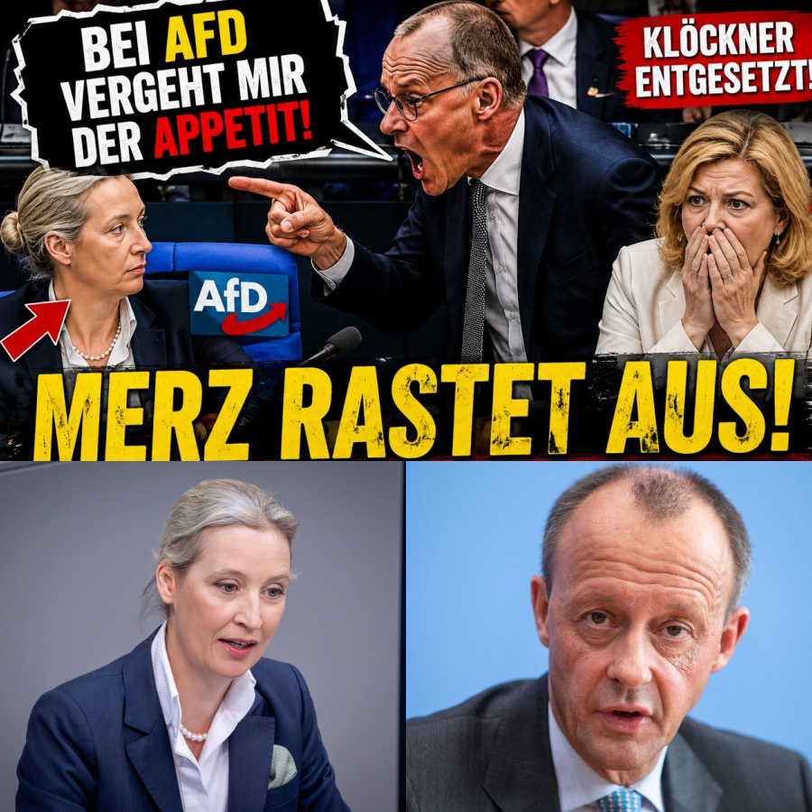 Frontalangriff im Bundestag: Alice Weidel zerlegt die Regierung – Friedrich Merz verliert die Beherrschung