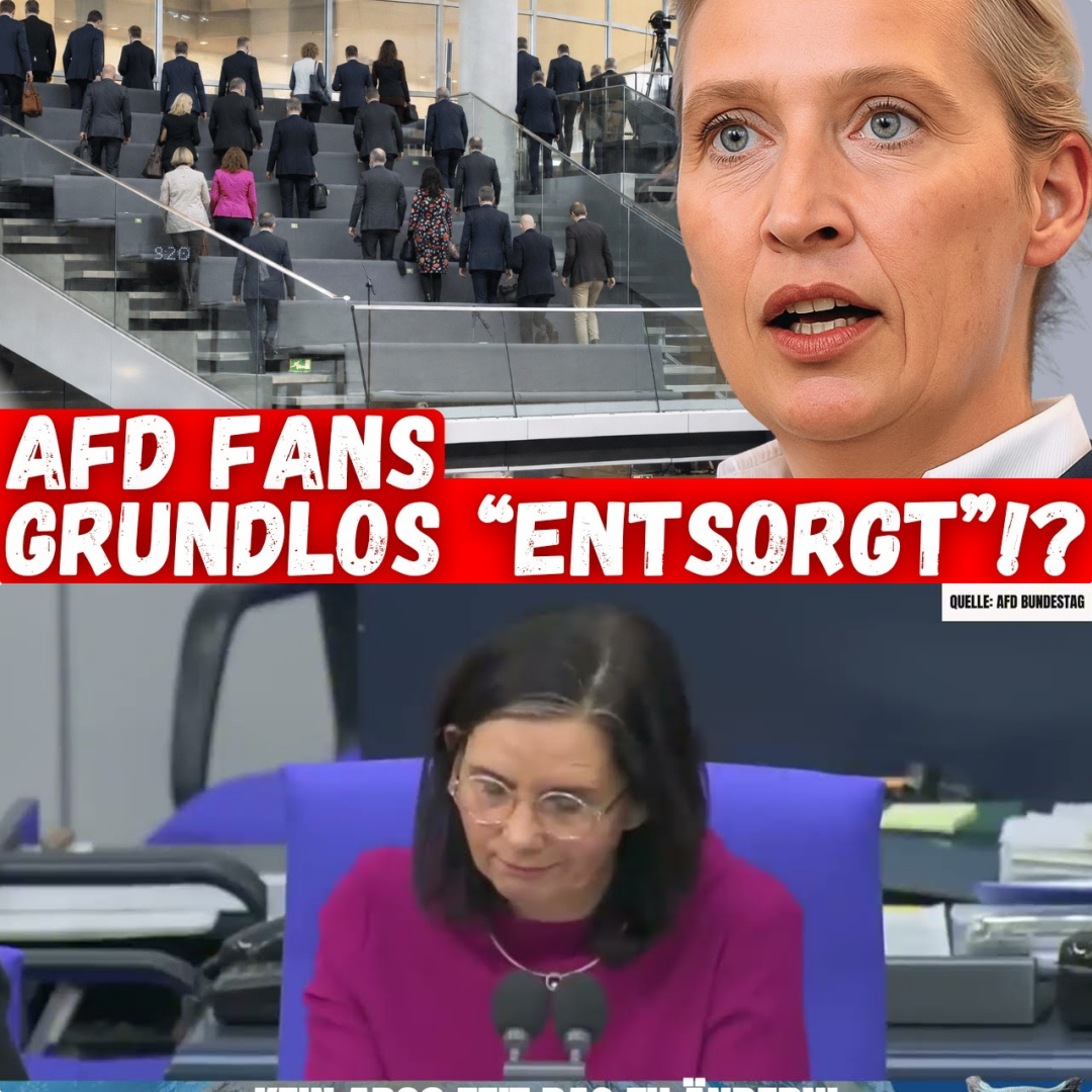 Eklat im Bundestag: Wenn die Wahrheit nicht mehr gehört werden darf