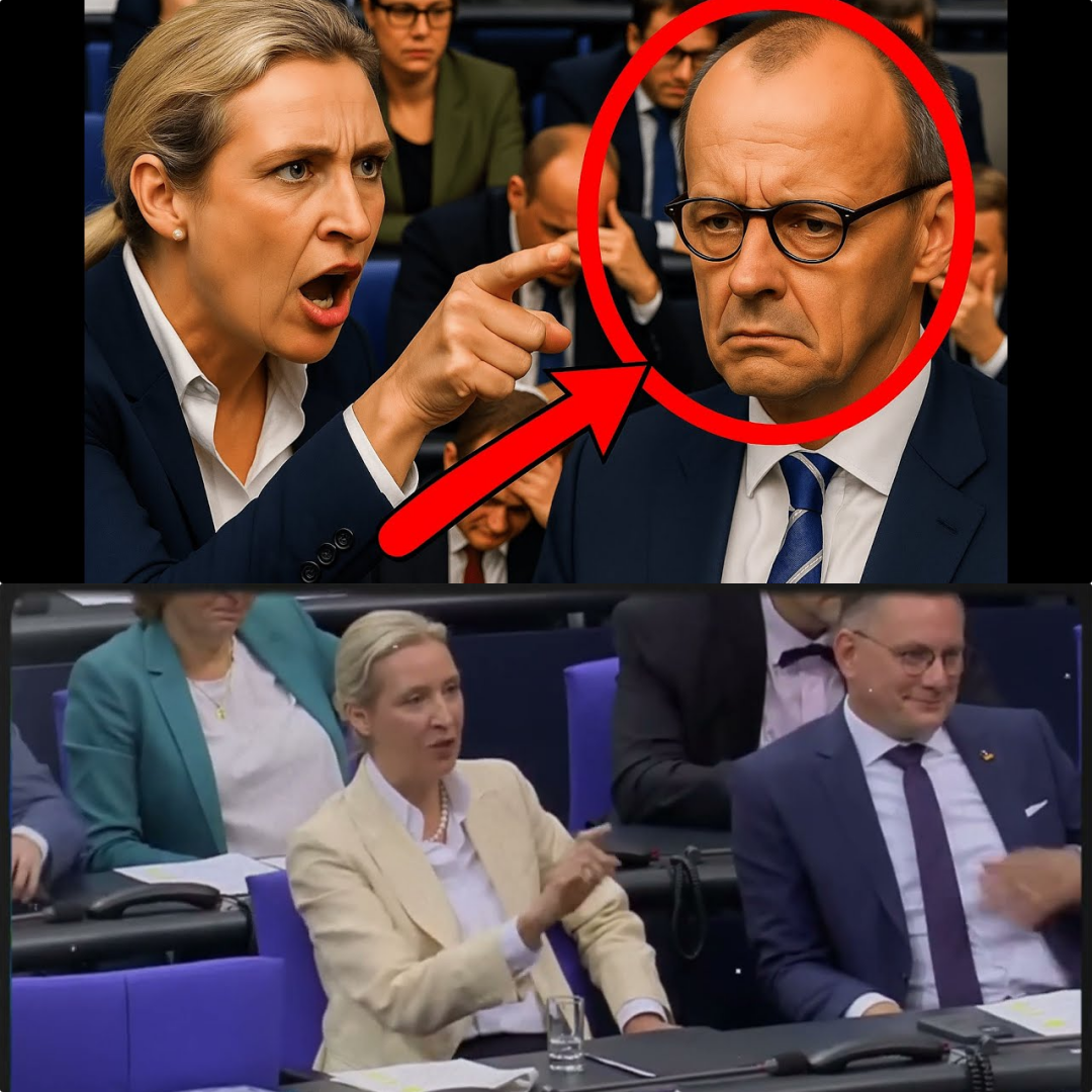 Politisches Beben im Bundestag: Alice Weidel im direkten Schlagabtausch mit Friedrich Merz
