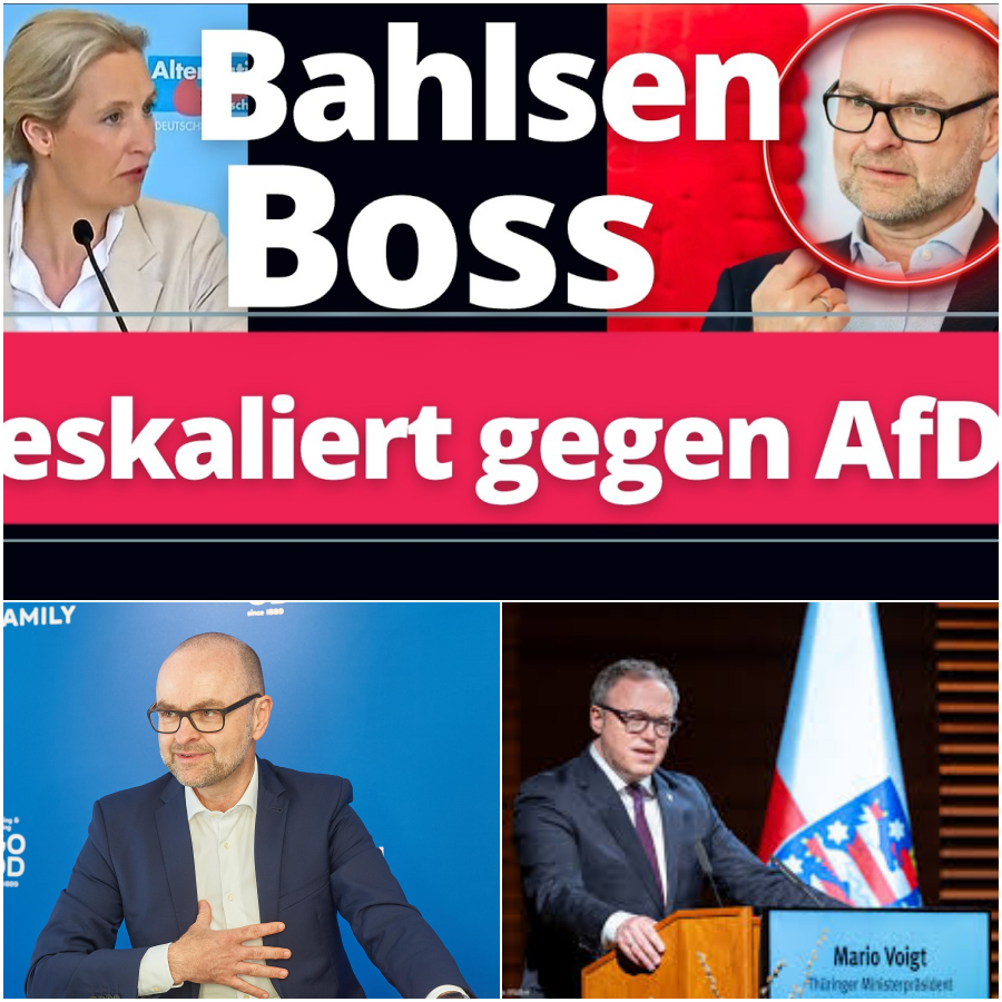 Wirtschaft am Abgrund, aber Hauptsache Haltung? Wenn Keks-Bosse politisieren und der Mittelstand stirbt