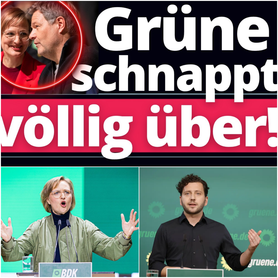 Ausverkauf der Sicherheit: Wie die Grünen aus Angst vor der AfD die Kontrolle über die Bundeswehr abgeben wollen