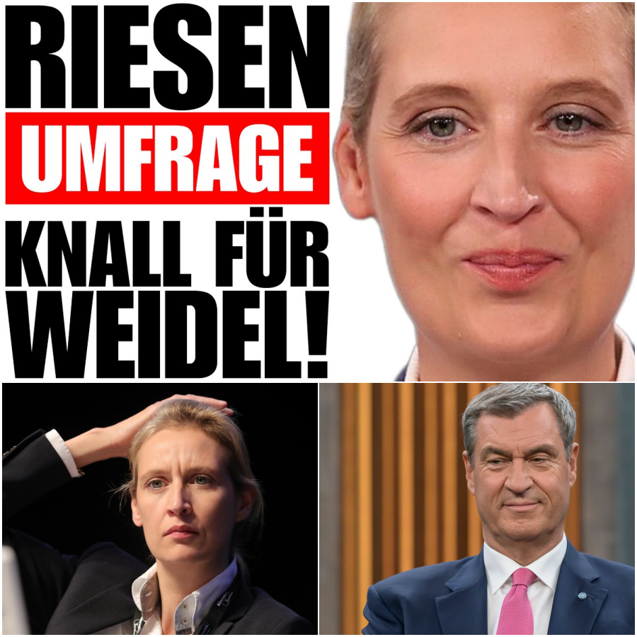 Politisches Beben in Deutschland: Der beispiellose Aufstieg der Alice Weidel und der tiefe Fall der Etablierten