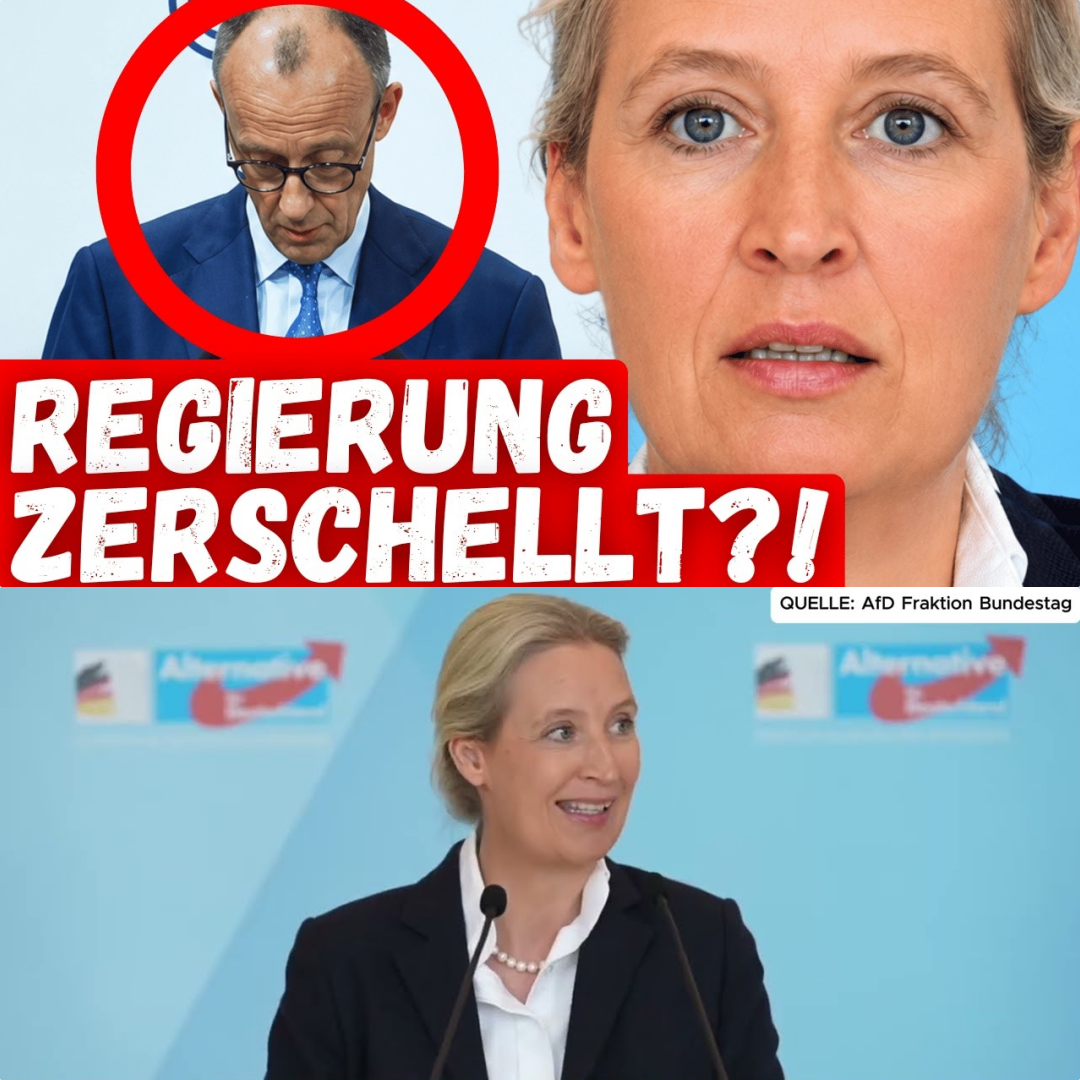 Führungslos in die Krise: Alice Weidel fordert radikale Wende und Neuwahlen