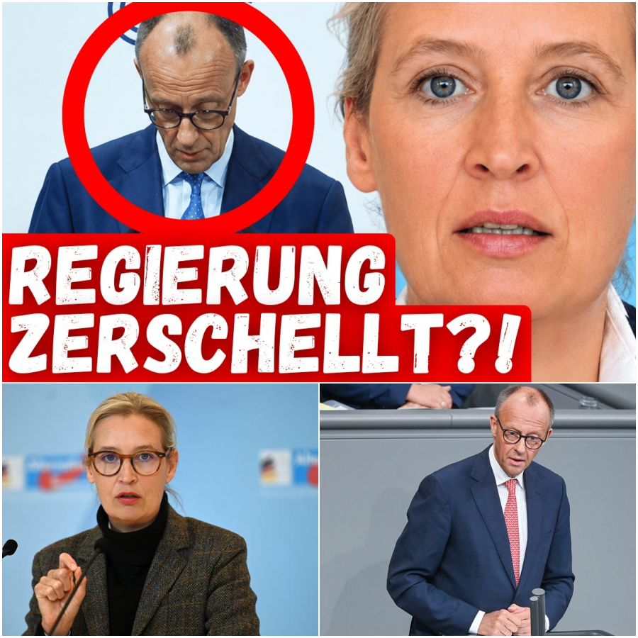 Führungsloses Deutschland am Abgrund: Eine gnadenlose Abrechnung mit der Regierung und der radikale Ruf nach Wende