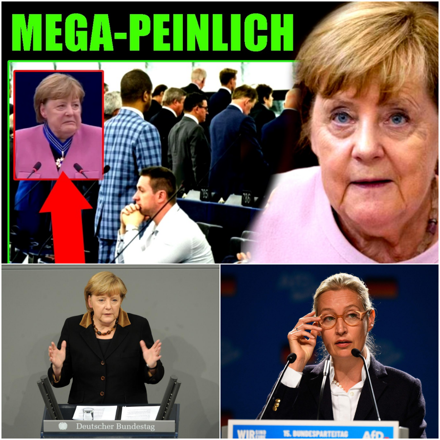 Massenexodus und Platzhalter-Tricks: Der beispiellose Eklat um Angela Merkels EU-Auszeichnung