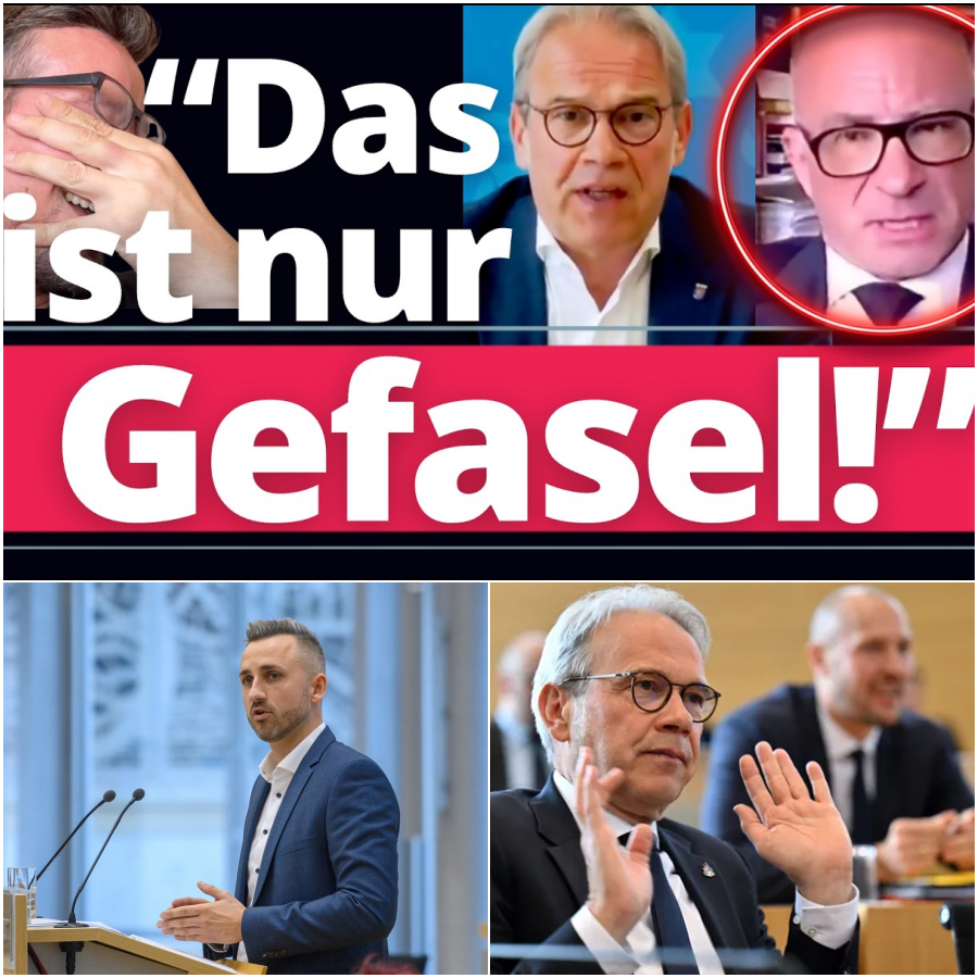 Verfassungsrechtler entlarvt Minister: Der angebliche “Staatsstreich” der AfD und die Doppelmoral der Altparteien