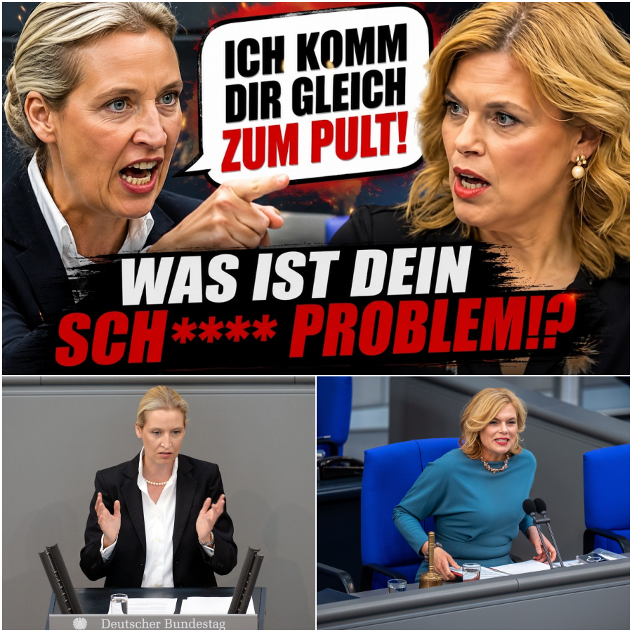 Hochspannung im Bundestag: Weidels Frontalangriff auf Merz und die nackte Panik der etablierten Parteien