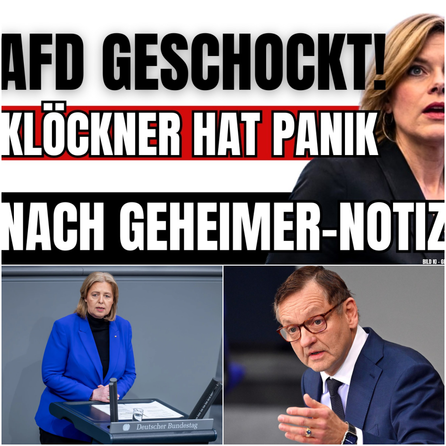 Eklat im Bundestag: AfD demontiert Arbeitsministerin – Die bittere Wahrheit über unsere Renten und den kollabierenden Sozialstaat