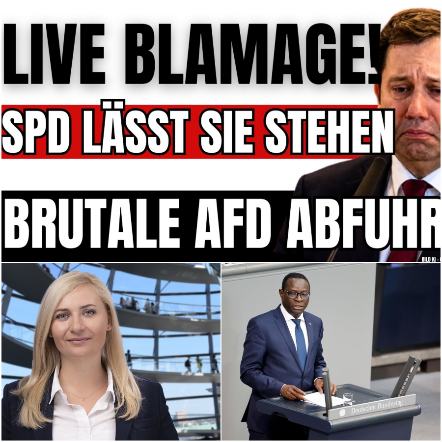 Energie-Eklat im Bundestag: AfD demontiert die grüne Windkraft-Illusion und lässt die SPD peinlich auflaufen