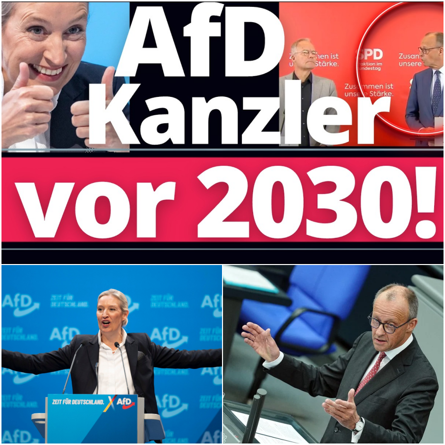 Der unaufhaltsame Aufstieg: Warum eine AfD-Bundesregierung vor 2030 unausweichlich scheint