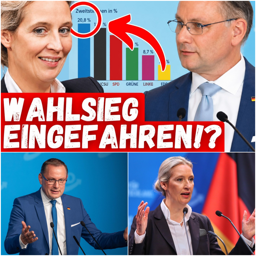 Politisches Beben in Berlin: Neue Umfragen, der Kampf um direkte Demokratie und die Angst vor dem industriellen Kollaps