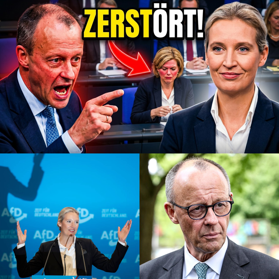 Kanzler-Blamage und Parlaments-Beben: Wie ein einziger Auftritt die tiefen Risse der deutschen Politik gnadenlos offenlegt