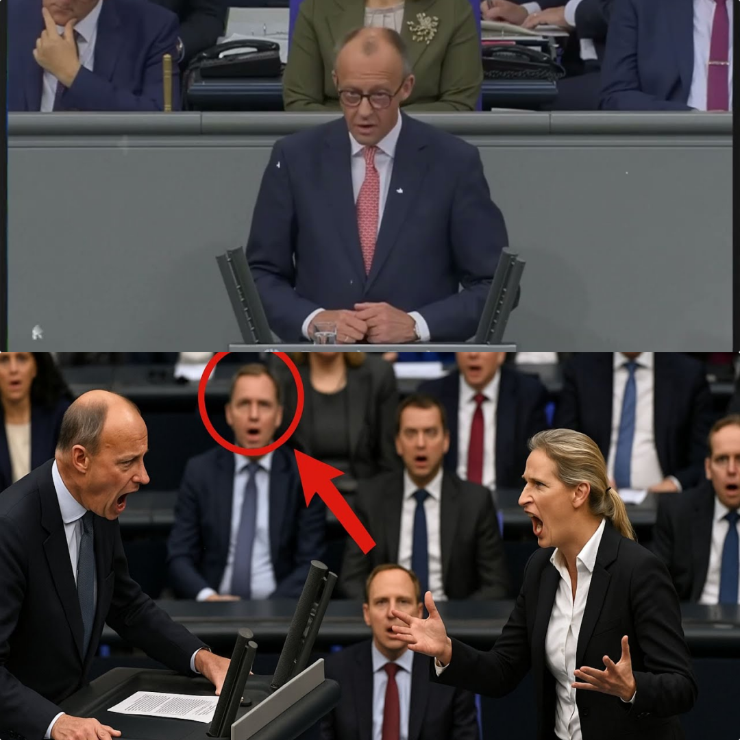 Historischer Paukenschlag im Bundestag: Friedrich Merz verlässt nach Weidel-Abrechnung fluchtartig den Saal