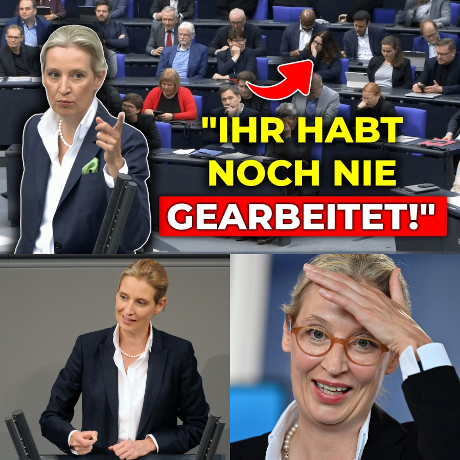 Eklat im Parlament: Wie Alice Weidel mit einem einzigen Satz den Bundestag zum Schweigen brachte