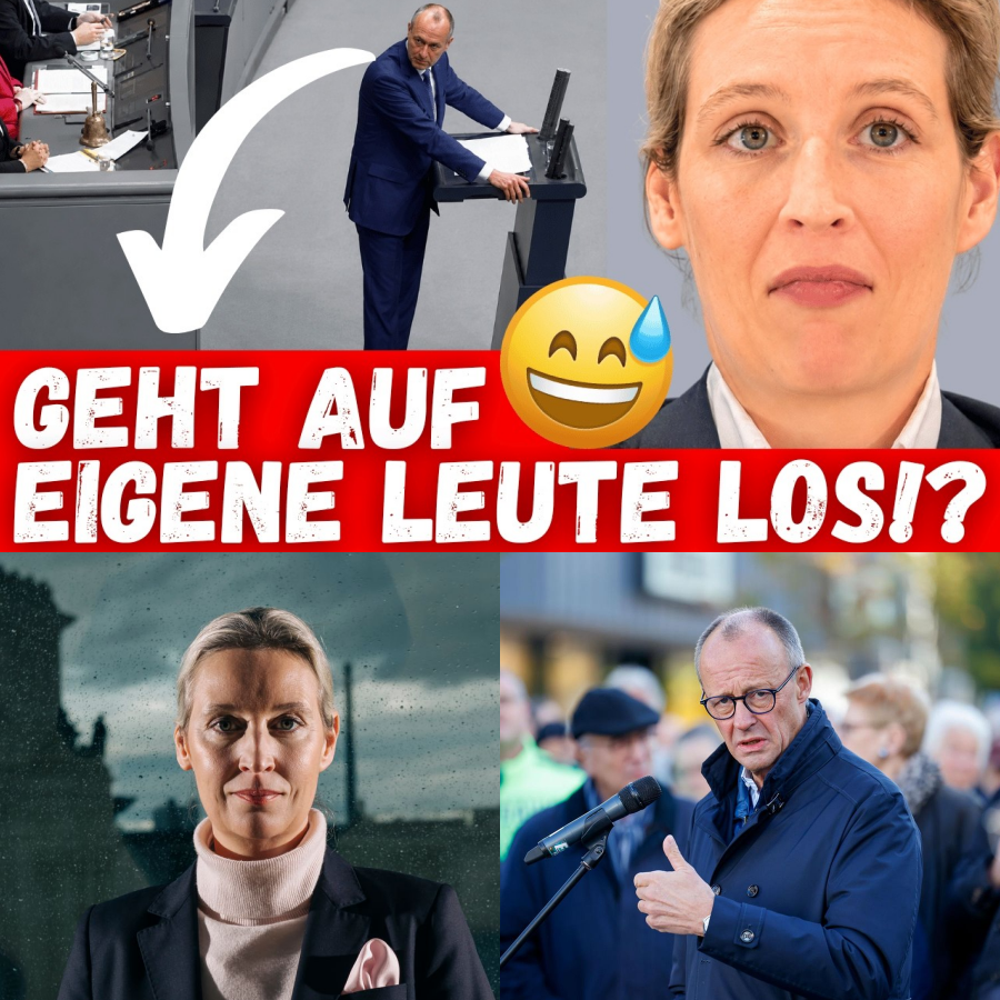 Frontalattacke im Bundestag: Wie Alice Weidel mit Kanzler Scholz und Friedrich Merz schonungslos abrechnet