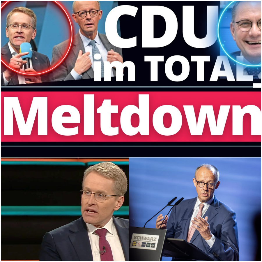 Panik im politischen Establishment: Die wahren Hintergründe der AfD-Verbotsdebatte und die tiefe Krise der Union