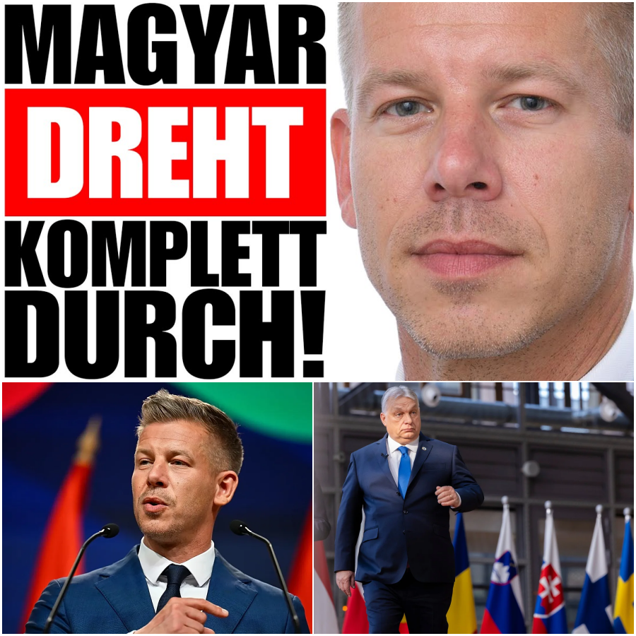 Péter Magyars autoritäres Ultimatum: Wie aus dem ungarischen Hoffnungsträger ein politischer Brandstifter wird