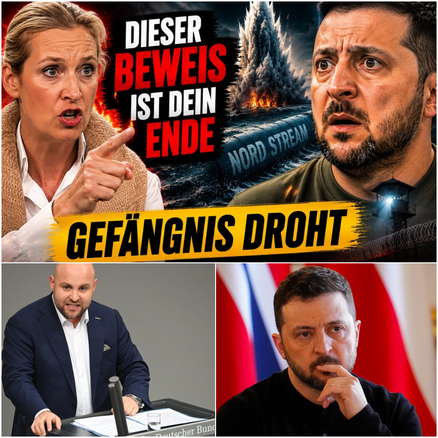 Nord-Stream-Anschlag: Die brisanten Forderungen der AfD und das Schweigen der Bundesregierung