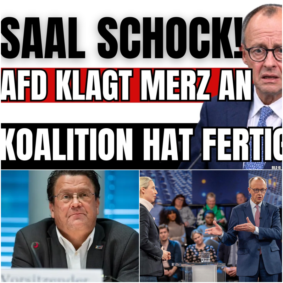 Der Millionen-Sumpf: Wie Steuergelder in linke Strukturen fließen und warum jetzt eine Klage droht