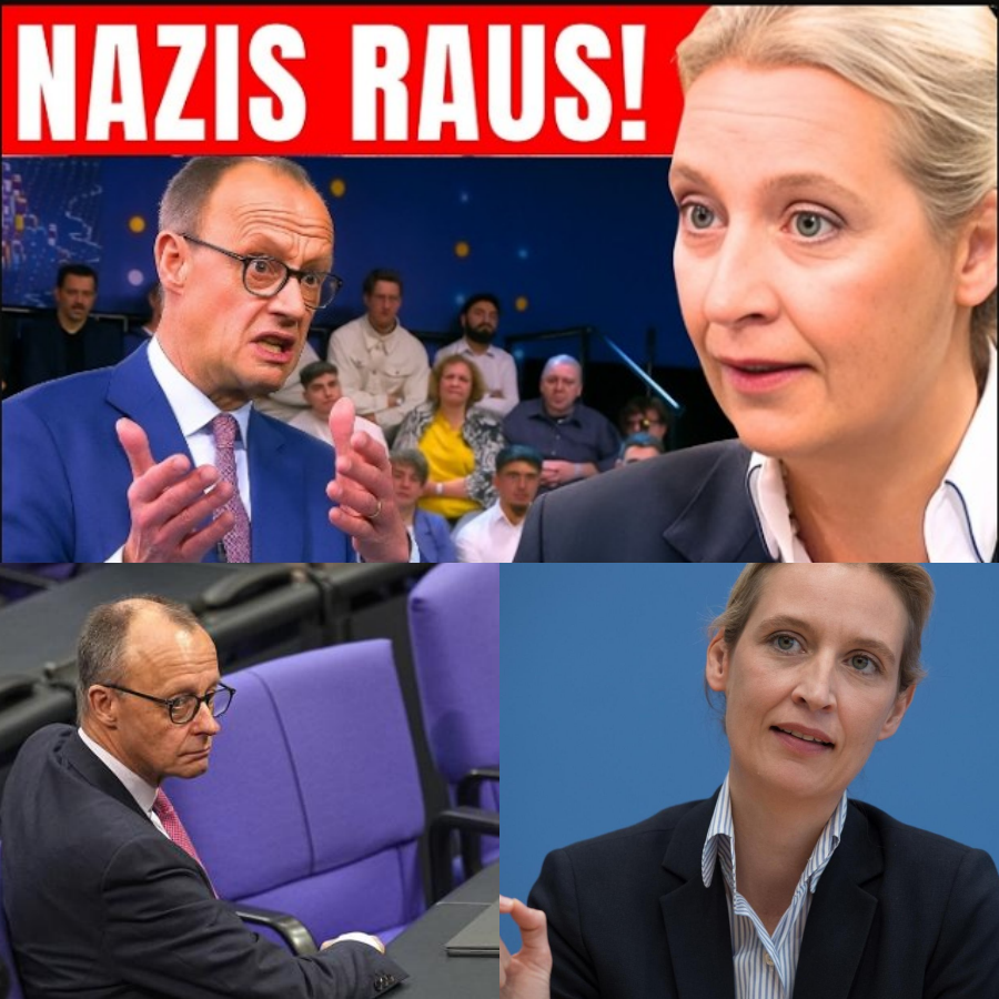Ein Bürger rechnet ab: Als Friedrich Merz an den echten Sorgen der Wähler abprallt – Kippt jetzt die Stimmung im Land?