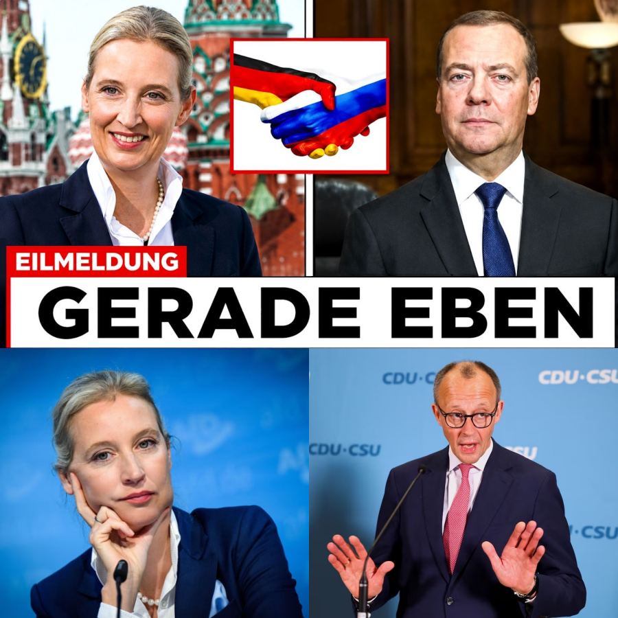 Schockstarre in Berlin: Alice Weidels historische Russland-Reise und die nackte Panik der Altparteien