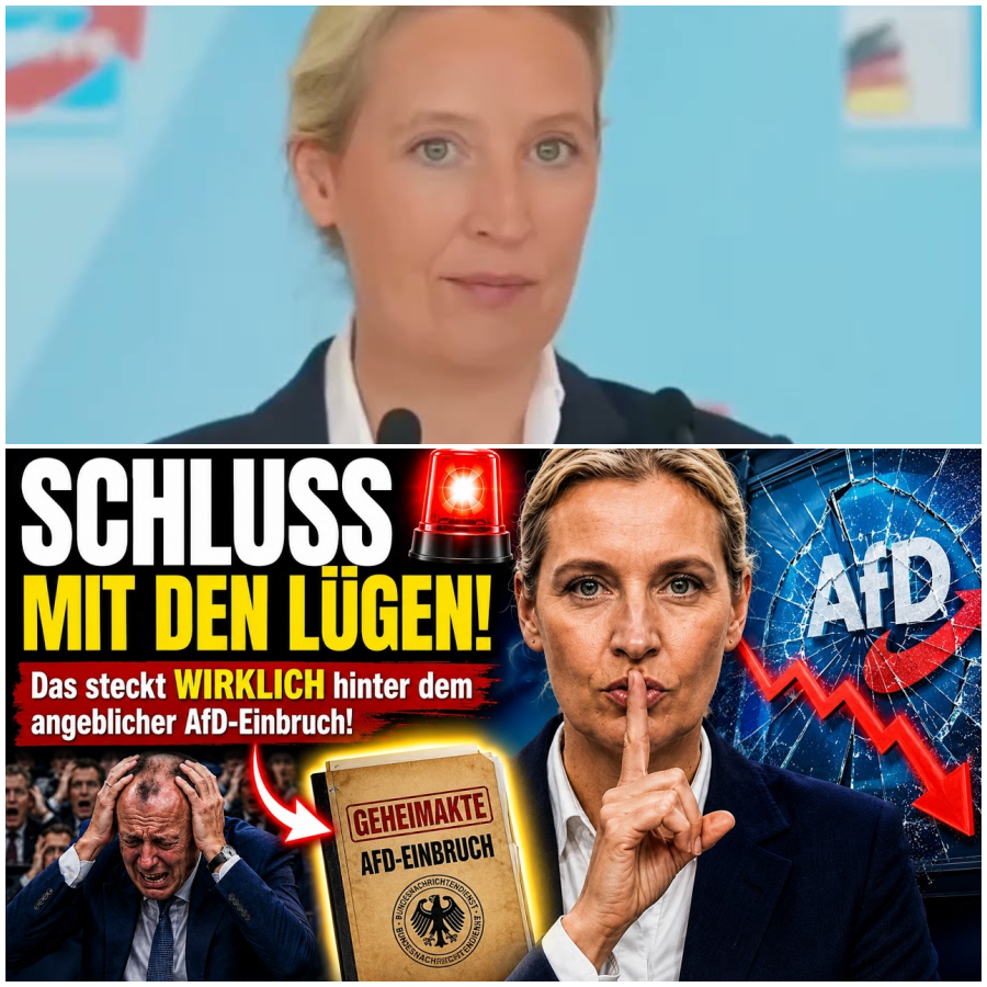 SCHLUSS MIT DEN LÜGEN! Das steckt WIRKLICH hinter dem angeblichen AfD-Einbruch!