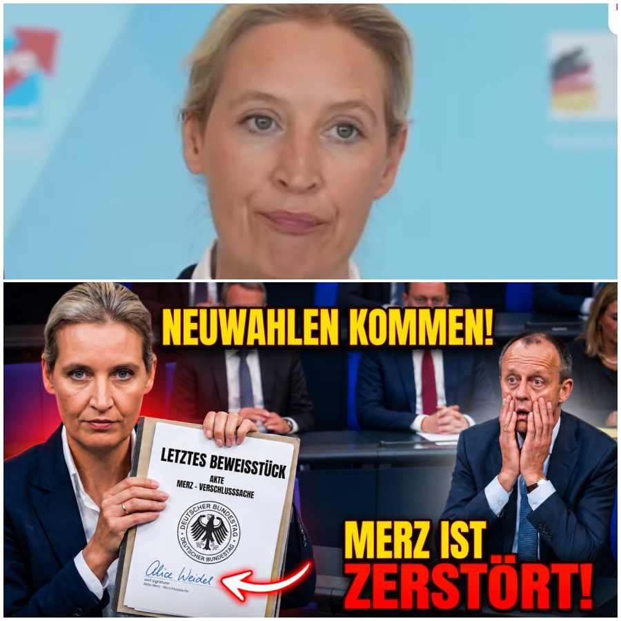 NEUWAHLEN ERZWUNGEN! Weidel zwingt Kanzler Merz in die Knie!
