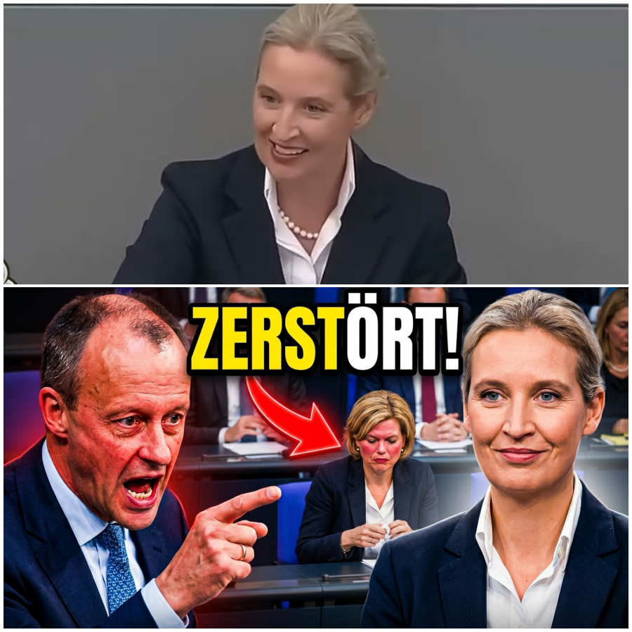 KANZLER-BLAMAGE! Merz greift an, doch DIESER Satz von Weidel bringt ihn zum Schweigen!