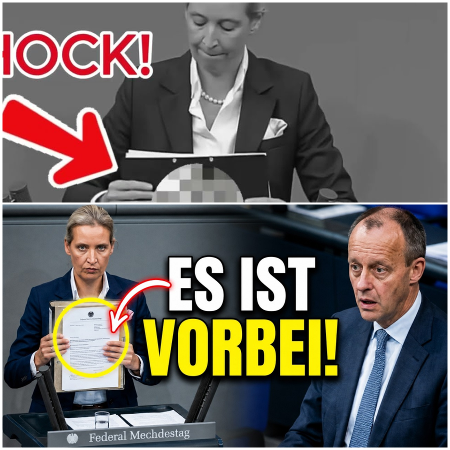 DIE BEWEIS-MAPPE!  Was Alice hier zeigt, stürzt die ganze Regierung!