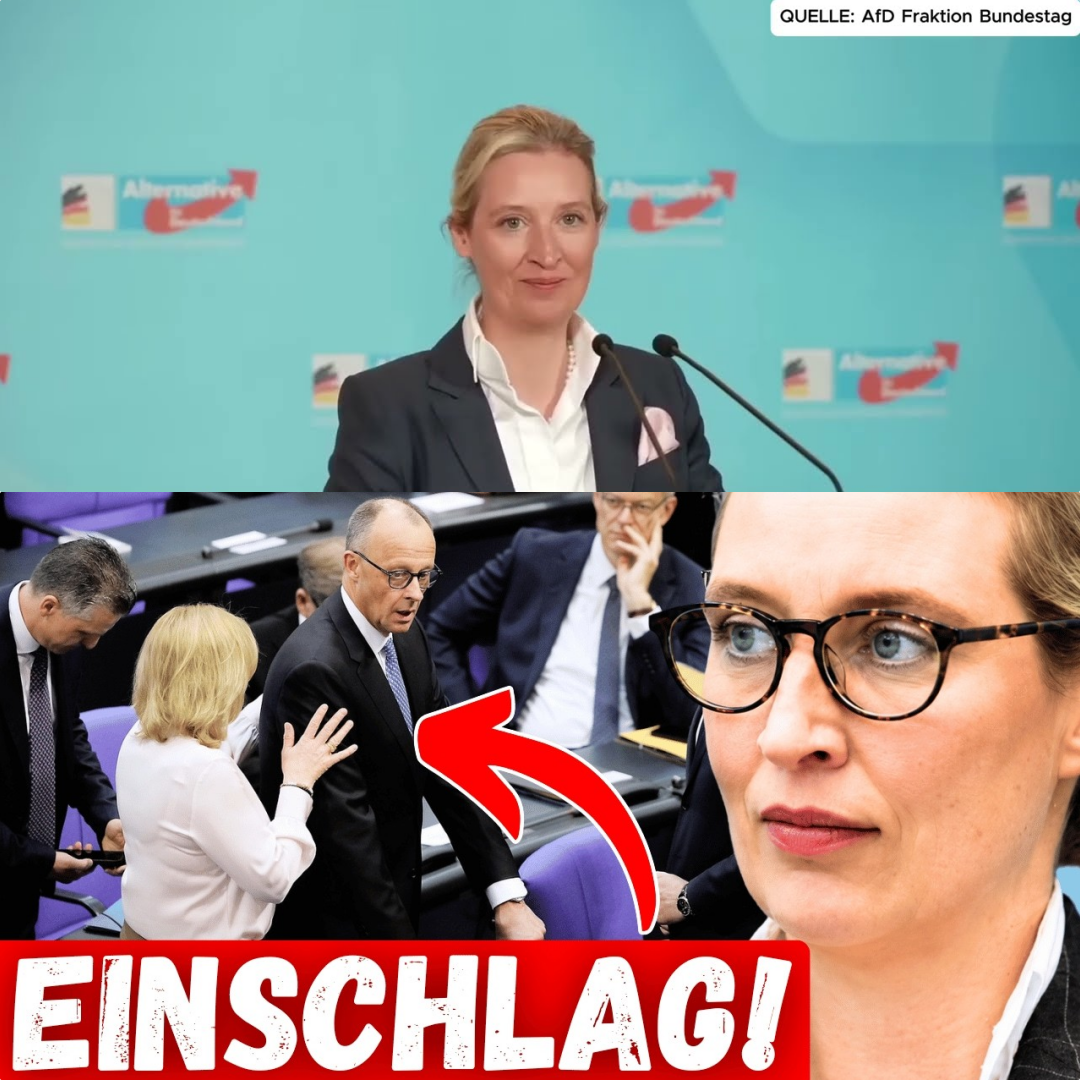 Politischer Offenbarungseid: Der Moment, in dem Friedrich Merz das Land schockierte