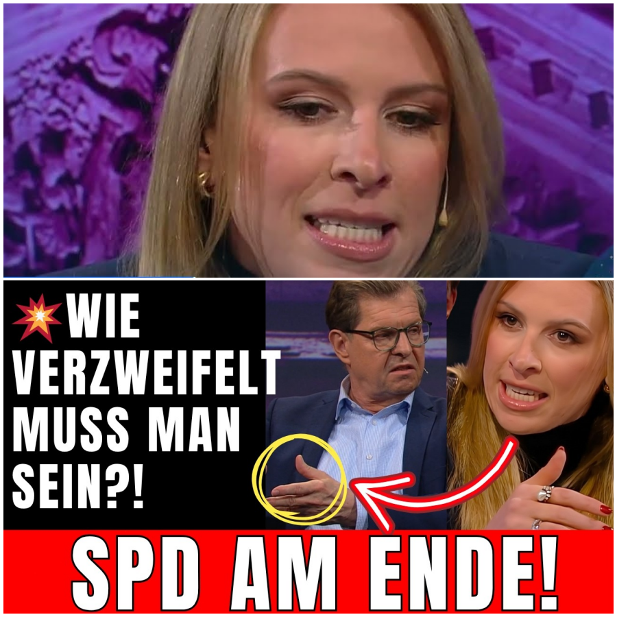 „WIE VERZWEIFELT MUSS MAN SEIN?! ”  Brockhaus und AFD ZERLEGEN die Altparteien LIVE!