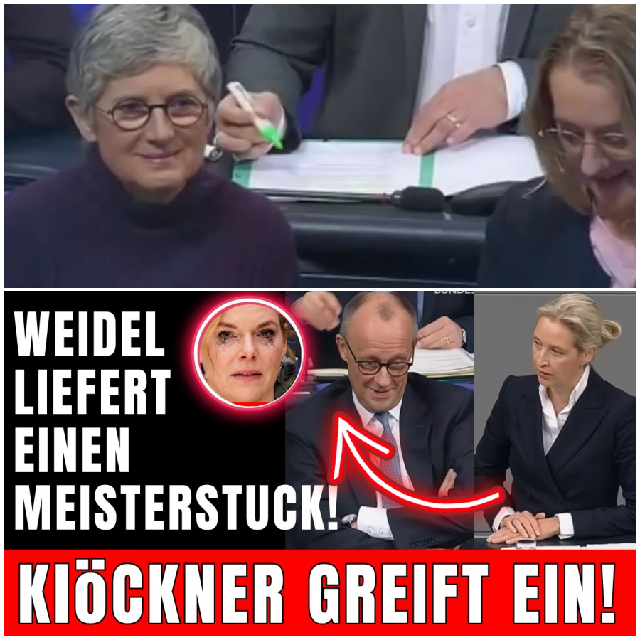 Als Merz Weidel AUSLACHT, LIEFERT sie ein MEISTERSTÜCK!