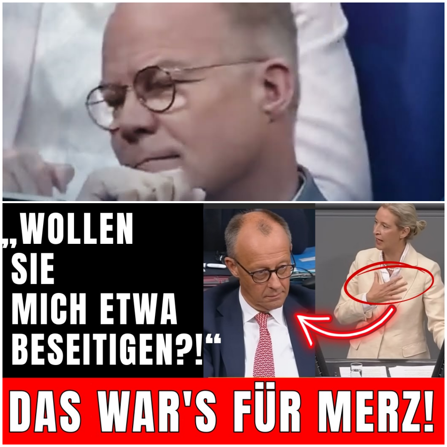 „WOLLEN SIE MICH ETWA BESEITIGEN?!“  Als Weidel DAS sagt, WIRD Merz KREIDEBLEICH!