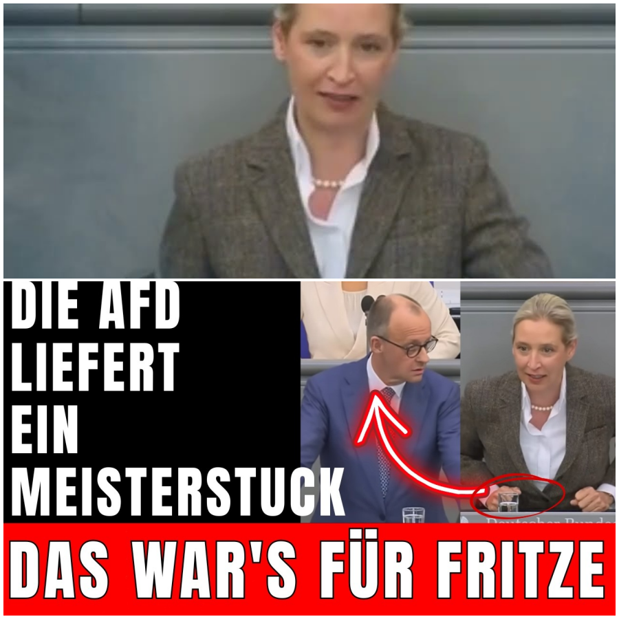 MERZ VERHÖHNT die AfD!  Dann ERLEBT er sein BLAUES WUNDER LIVE!