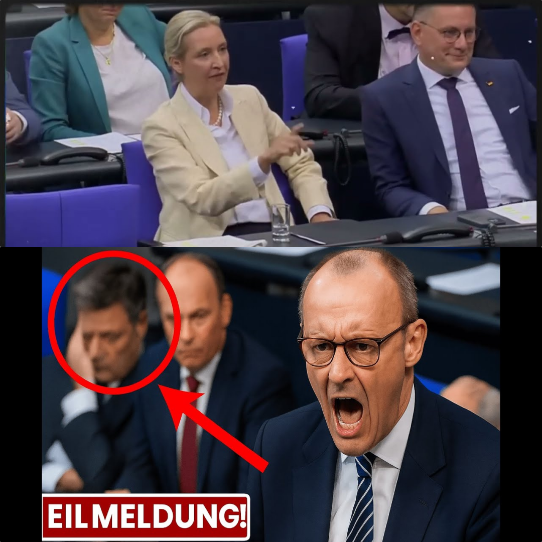Frontalangriff auf die Ampel: Friedrich Merz rechnet knallhart ab