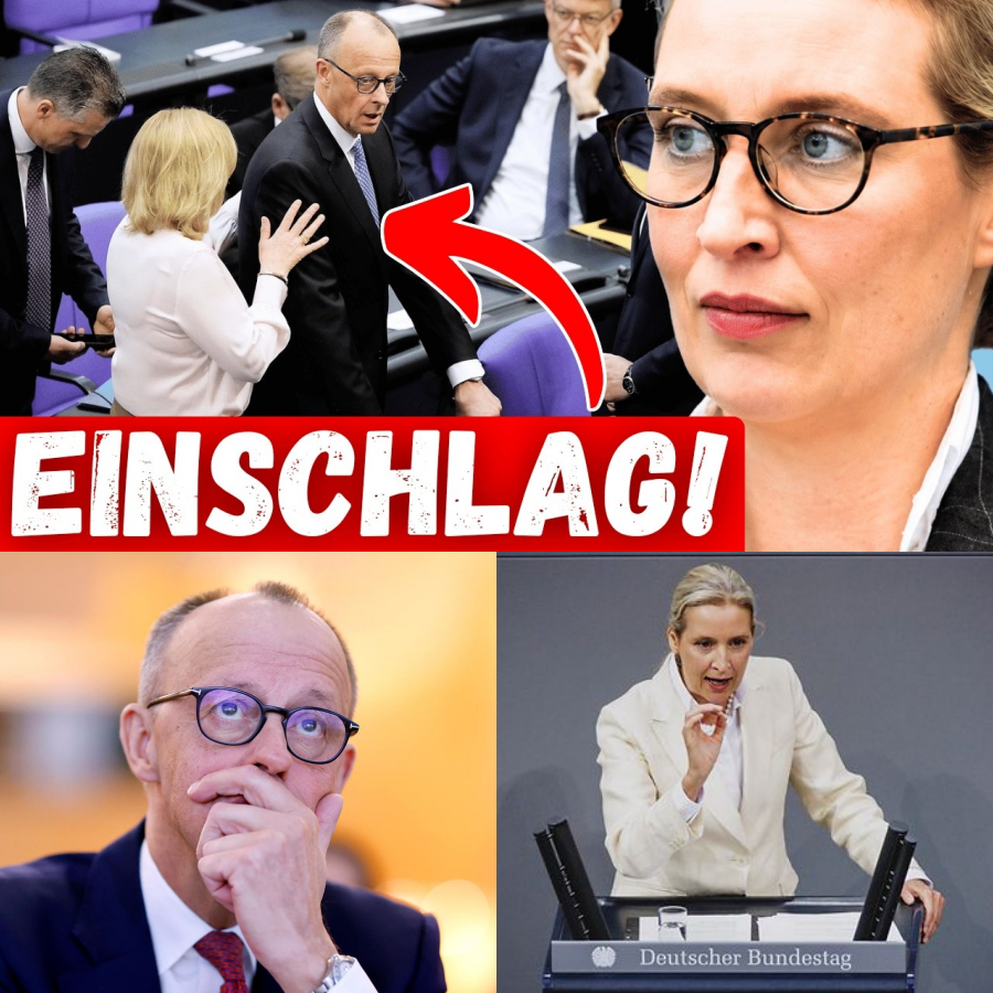 Politisches Beben in Deutschland: Wenn Bürger verzweifeln, die Sprache verroht und der Bundestag kocht – Ein Land am Limit