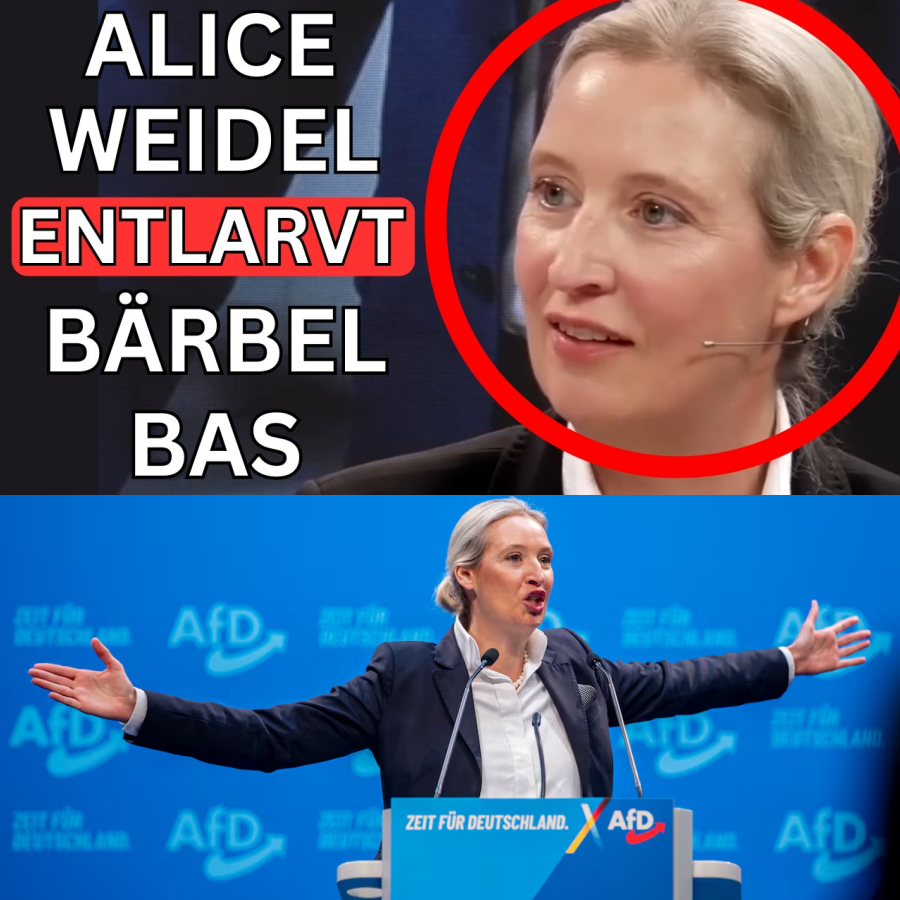 Alice Weidel rechnet gnadenlos ab: „Schlichte Doofheit oder Realitätsverweigerung“ – Ein politisches Beben um Migration, Staatsbankrott und gebrochene Versprechen