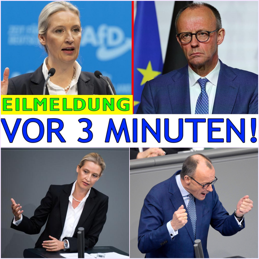 Der 30-Sekunden-Kollaps: Wie Alice Weidels provokante Frage Friedrich Merz vor laufenden Kameras in die Flucht schlug