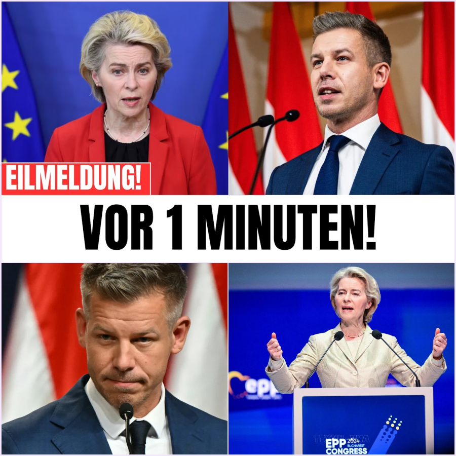 Machtkampf um Milliarden: Warum Ungarns unerwartete Rebellion gegen Brüssel die Zukunft Europas und deutsche Steuergelder bedroht