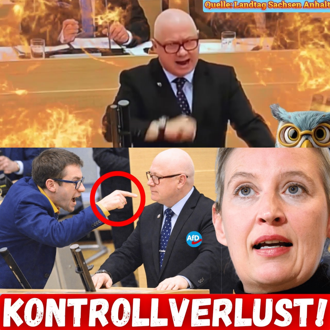 Parlamentarischer Eklat und Systemkritik: Wenn der Bundestag zum Schauplatz der Konfrontation wird